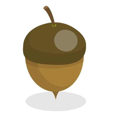 Acorns  Illustration