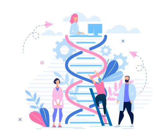Structure de l'ADN  Illustration