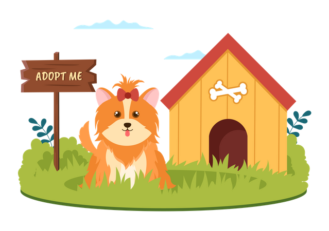Adopt a Pet  일러스트레이션