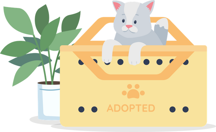 Adopted grey cat  Illustration