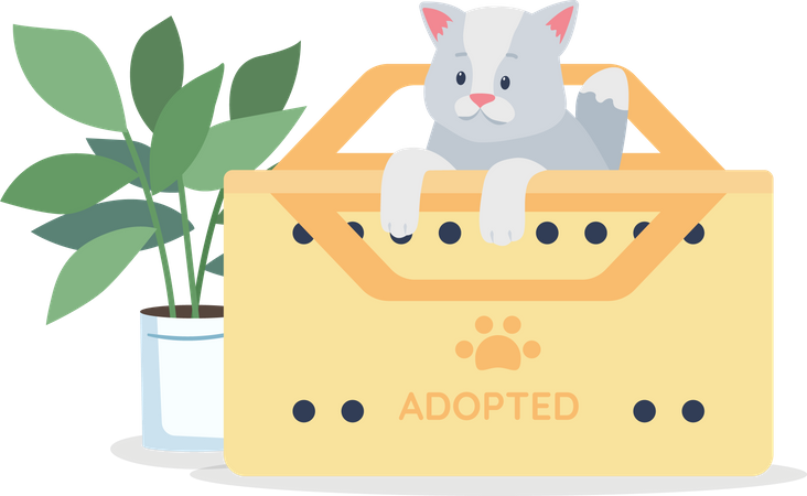 Adoptierte graue Katze  Illustration