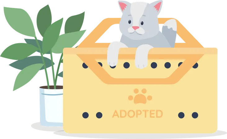 Adoptierte graue Katze  Illustration