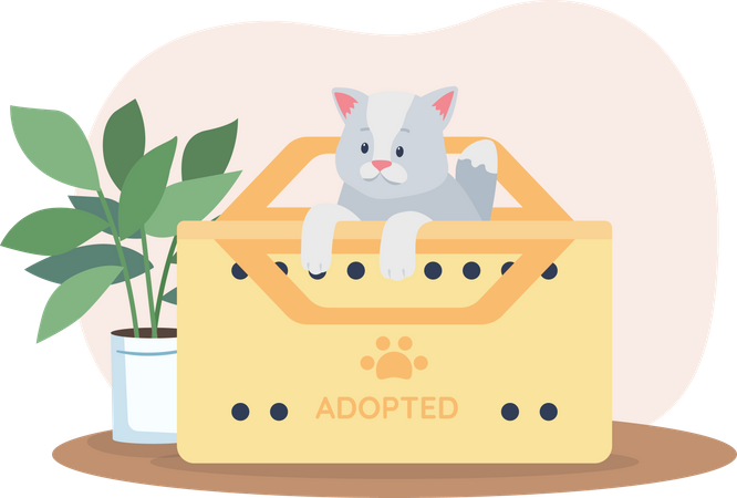 Adopting grey cat  Illustration