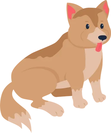 Adoption de chiens de race mixte  Illustration