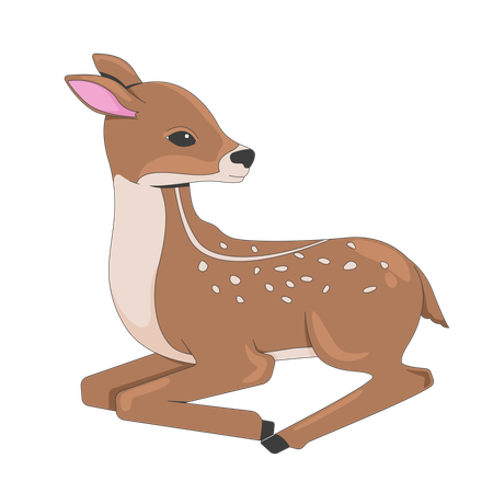 Adorable baby deer sitting  Illustration