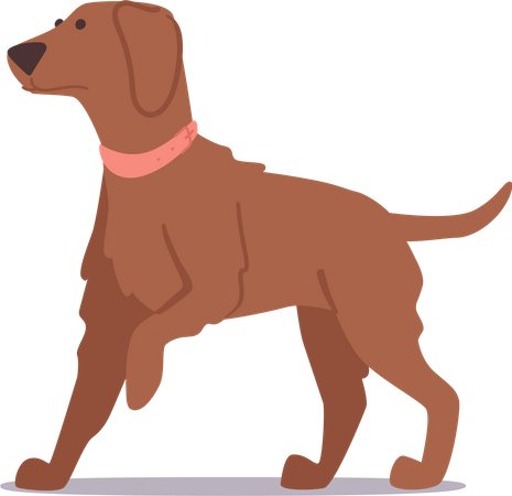 Adorable Brown Furry Puppy with Innocent Expression And Playful Pose Illustration