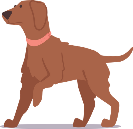 Adorable Brown Furry Puppy with Innocent Expression And Playful Pose  Illustration