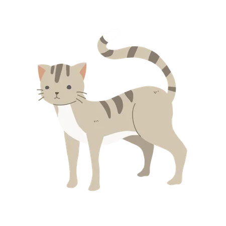 愛らしい猫  イラスト