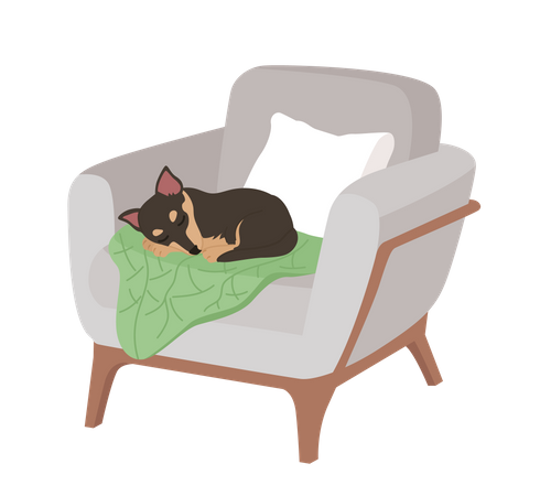 Adorable dog sleeping in comfortable armchair  Illustration