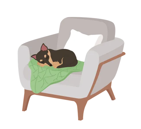 Adorable dog sleeping in comfortable armchair  Illustration