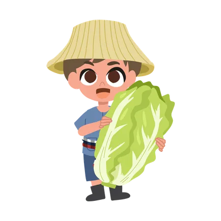 Adorable  Farmer With Big Cabbage  Illustration