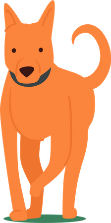 Adorável cachorrinho dourado com expressão divertida correndo  Ilustração