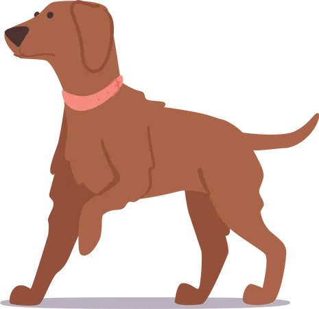 Adorável cachorrinho peludo marrom com expressão inocente e pose brincalhona  Ilustração