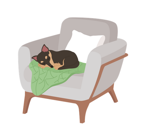 Adorável cachorro dormindo em poltrona confortável  Ilustração