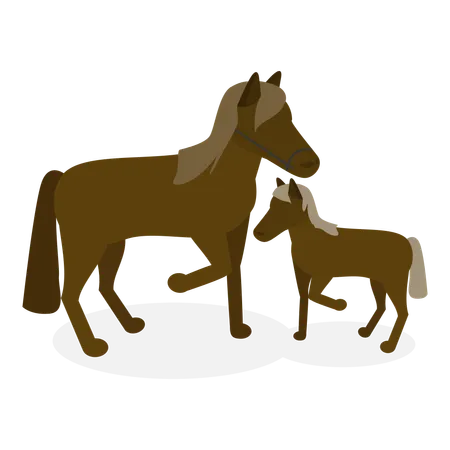 Adult horse taking care of baby horse  Illustration