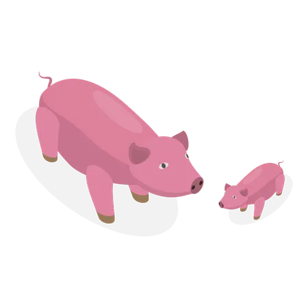 Adult pig taking care of baby pig  Illustration