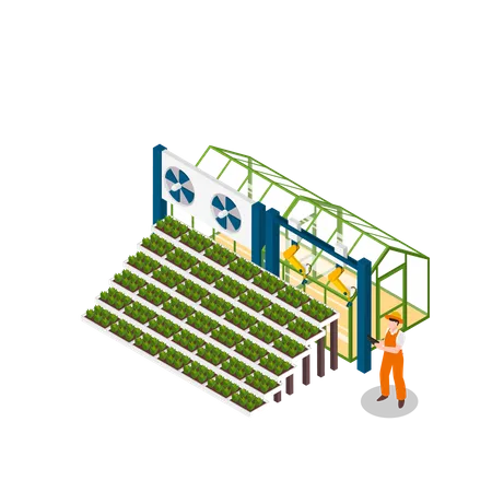 Aeroponic farming  Illustration