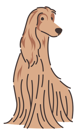 Afghan hound dog  イラスト