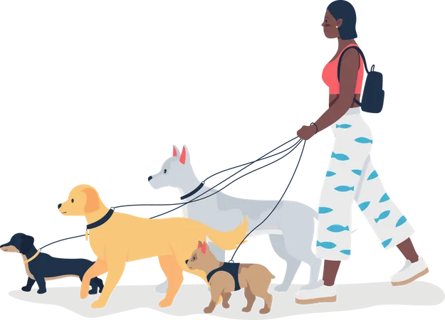 African American girl walking dogs on leashes  Illustration