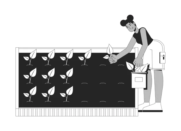 アフリカ系アメリカ人女性がガーデニングをし、苗を土に植えている  イラスト
