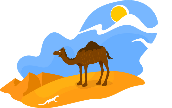 African desert  Illustration