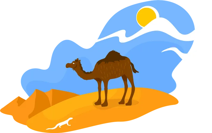 African desert  Illustration