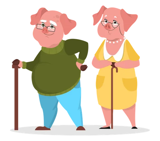 Aged pig couple  Illustration