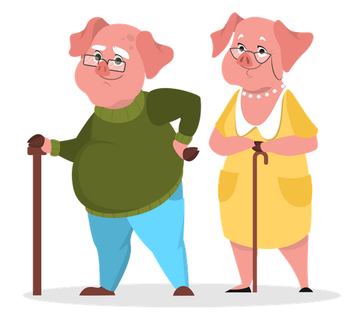 Aged pig couple  Illustration