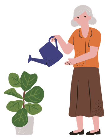 Aged woman watering plant  Illustration