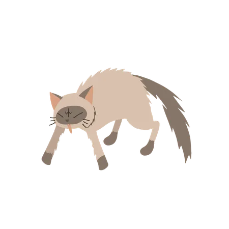 攻撃的な猫  イラスト