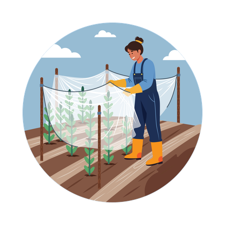 Agriculteur attachant des vignes sur un treillis  Illustration