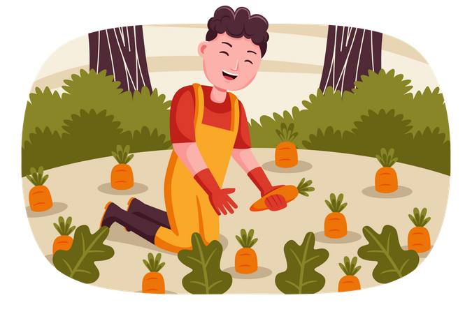 Agriculteur ramassant des carottes  Illustration