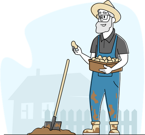 Agriculteur creusant un trou dans le sol et plantant des plants de pommes de terre  Illustration