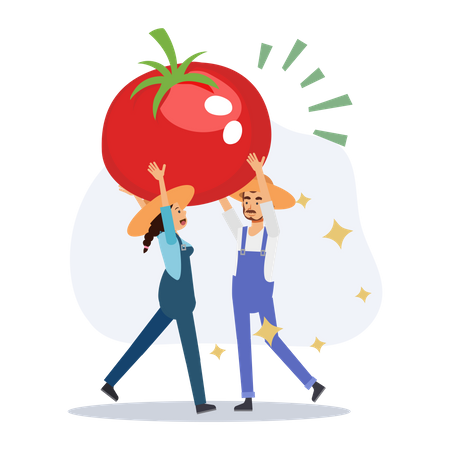 Agriculteur tenant une tomate  Illustration