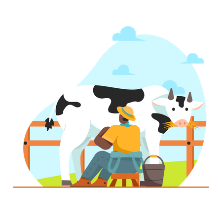 Agriculteur rassemblant du lait de vache  Illustration