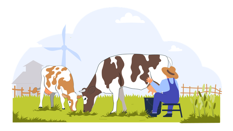 Agriculteur rassemblant du lait de vache  Illustration