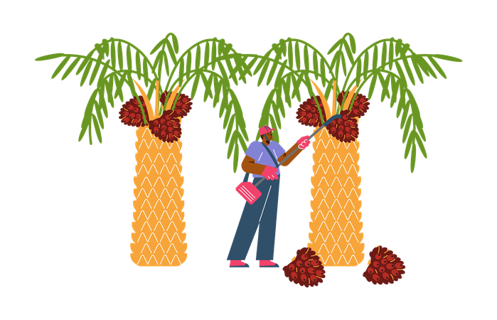 Un agriculteur récolte des plantes agricoles  Illustration