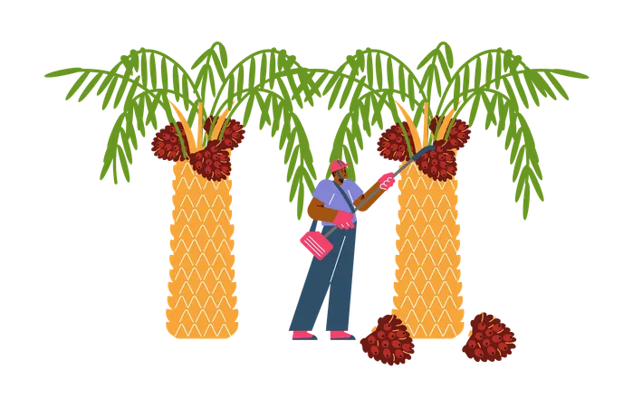 Un agriculteur récolte des plantes agricoles  Illustration