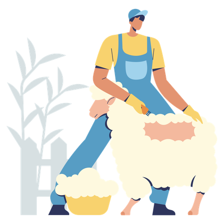 Agriculteur tondant des moutons  Illustration