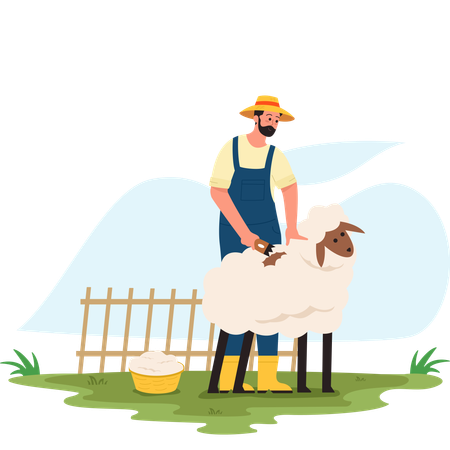 Agriculteur tondant des moutons  Illustration