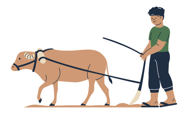 Agriculteur labourant avec un bœuf  Illustration