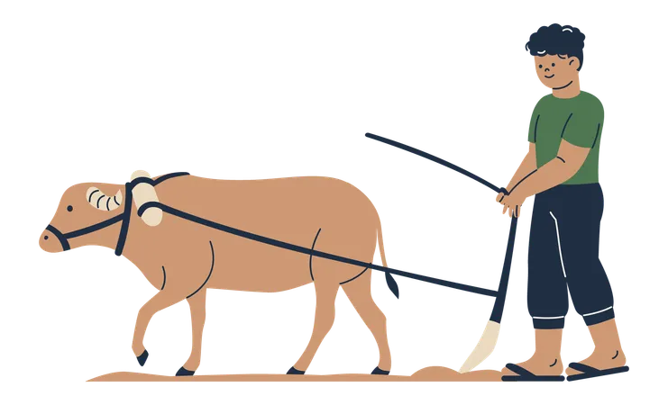 Agriculteur labourant avec un bœuf  Illustration