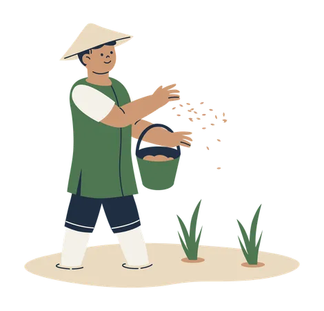 Un agriculteur plante des graines de riz  Illustration