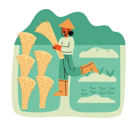 Agriculteur récoltant  Illustration