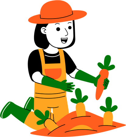 Agriculteur, récolte de carottes  Illustration