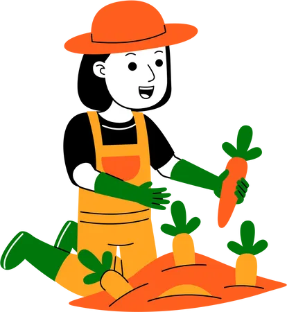 Agriculteur, récolte de carottes  Illustration