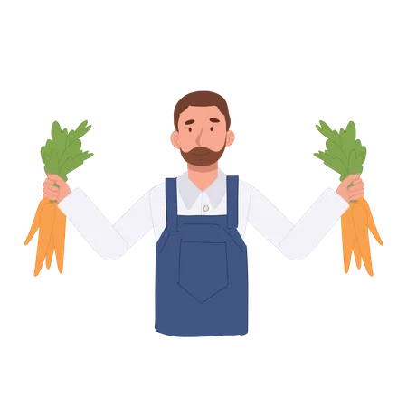 Agriculteur, récolte de carottes  Illustration