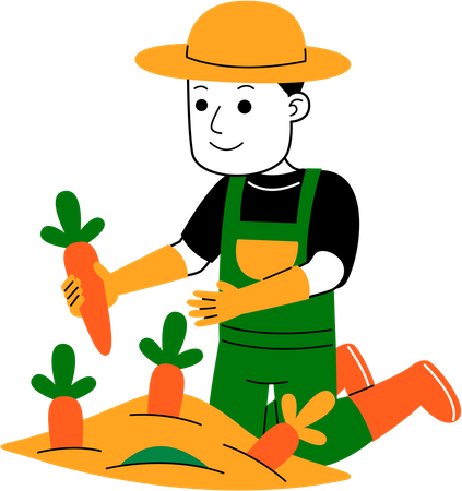 Agriculteur, récolte de carottes  Illustration