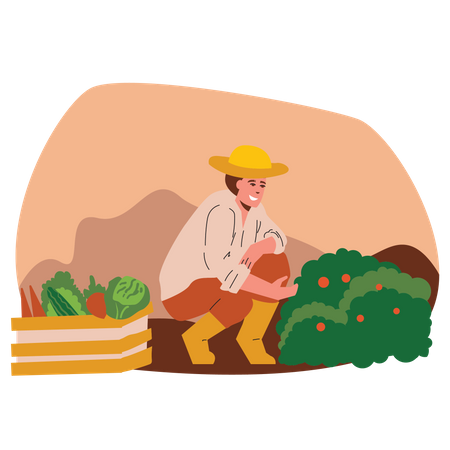 Agriculteur récoltant des fruits  Illustration