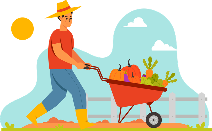 Agriculteur récolte des légumes  Illustration